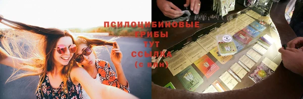 хмурый Алзамай