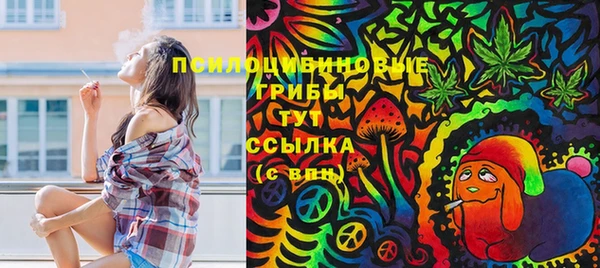 хмурый Алзамай