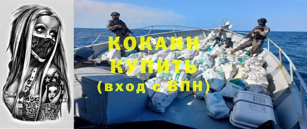 хмурый Алзамай