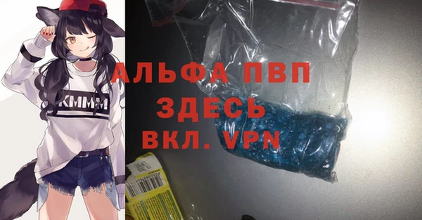 хмурый Алзамай