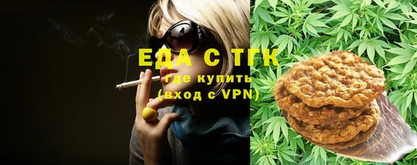 хмурый Алзамай