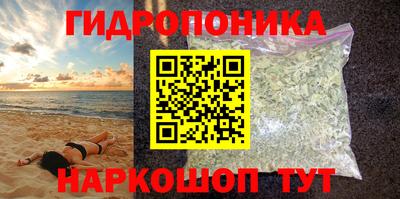 ECSTASY Кингисепп