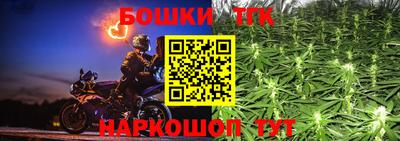 ECSTASY Кингисепп