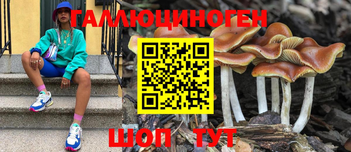Галлюциногенные грибы GOLDEN TEACHER Полысаево